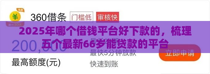 2025年哪个借钱平台好下款的，梳理五个最新66岁能贷款的平台