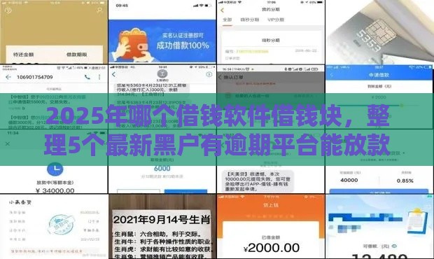 2025年哪个借钱软件借钱块，整理5个最新黑户有逾期平台能放款