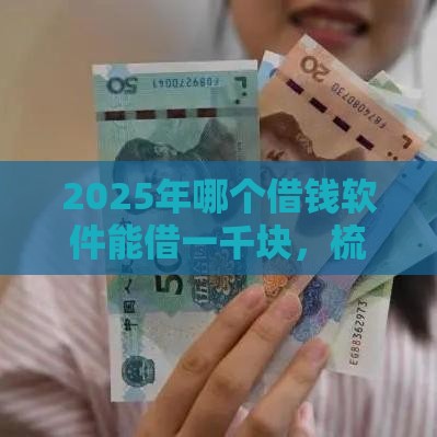 2025年哪个借钱软件能借一千块，梳理5个最新贷款平台电话