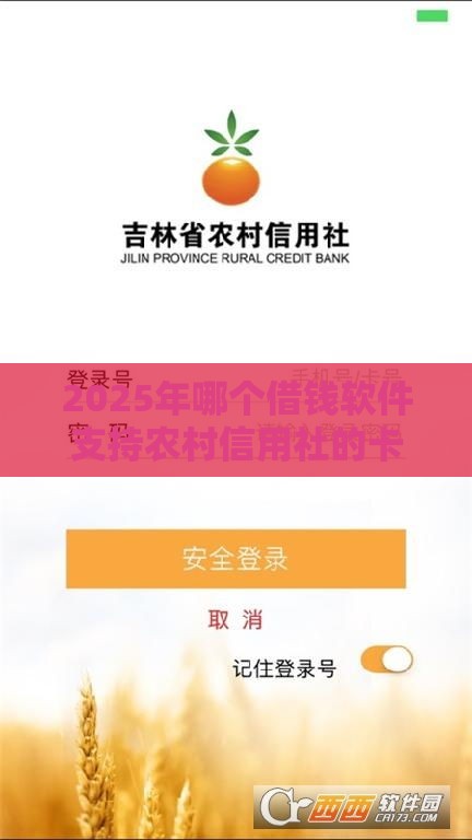 2025年哪个借钱软件支持农村信用社的卡,试试这五个最新和安逸花一样的平台还 2025年哪个借钱软件支持农村信用社的卡,试试这五个最新和安逸花一样的平台还