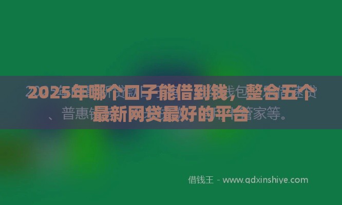 2025年哪个口子能借到钱，整合五个最新网贷最好的平台