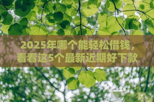 2025年哪个能轻松借钱，看看这5个最新近期好下款的平台