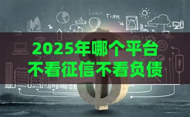 2025年哪个平台不看征信不看负债好下款，整合5个最新纯线上贷款平台