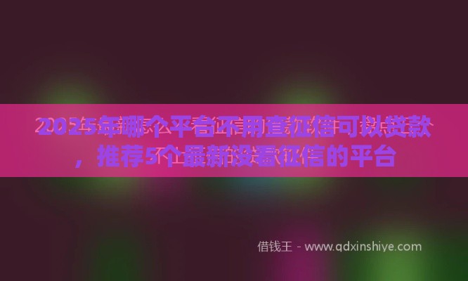 2025年哪个平台不用查征信可以贷款，推荐5个最新没看征信的平台