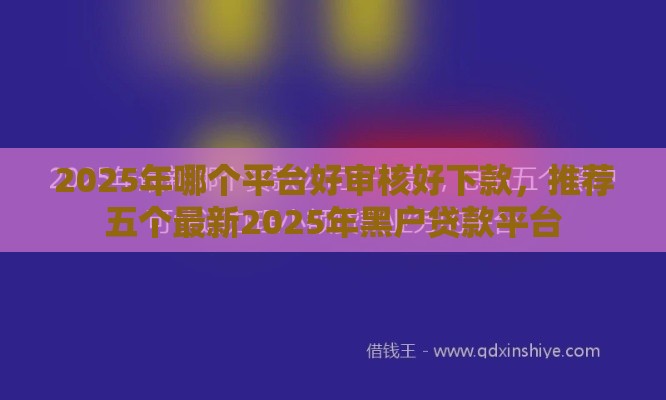 2025年哪个平台好审核好下款，推荐五个最新2025年黑户贷款平台