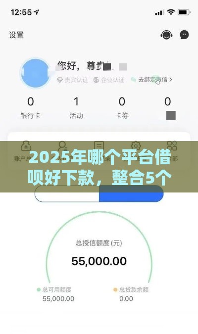 2025年哪个平台借呗好下款，整合5个最新双黑户必下款的口子2025