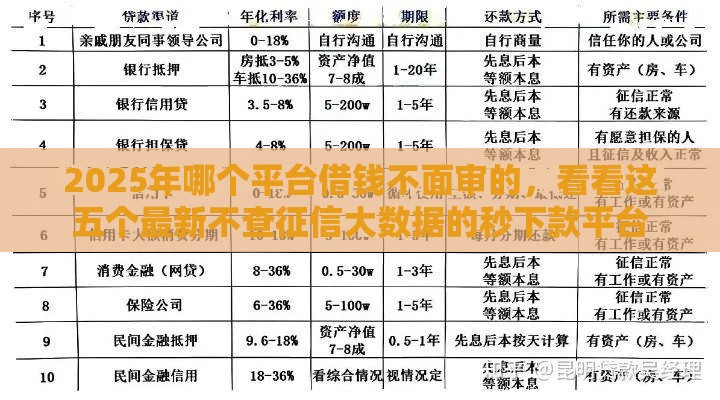 2025年哪个平台借钱不面审的，看看这五个最新不查征信大数据的秒下款平台
