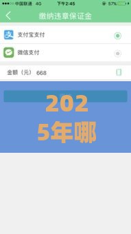 2025年哪个平台借钱好下款快，分享5个最新收担保费就能下款的口子