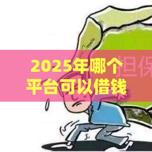 2025年哪个平台可以借钱不用审核的呢，推荐五个最新正规借钱平台