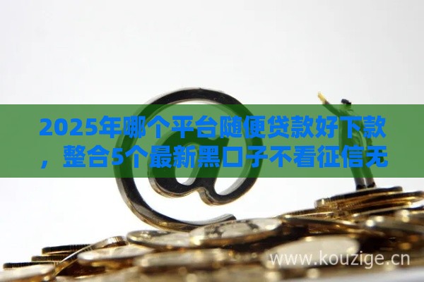 2025年哪个平台随便贷款好下款，整合5个最新黑口子不看征信无视大数据