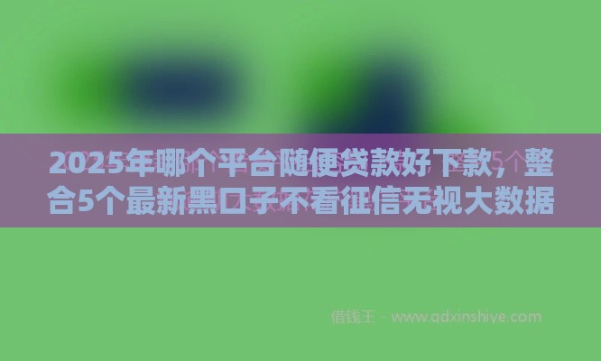 2025年哪个平台随便贷款好下款，整合5个最新黑口子不看征信无视大数据