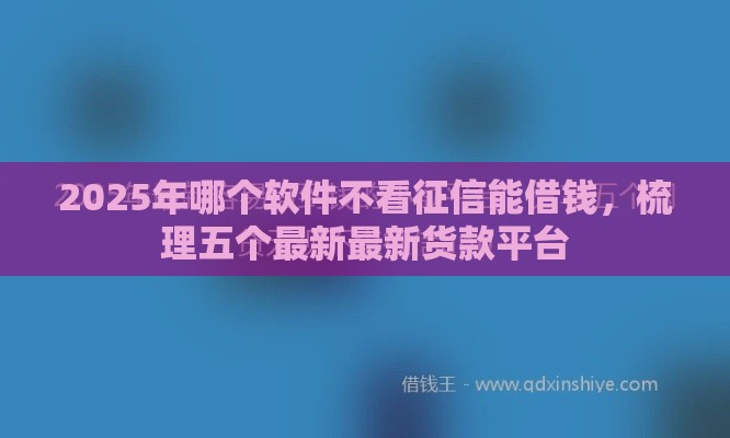 2025年哪个软件不看征信能借钱，梳理五个最新最新货款平台