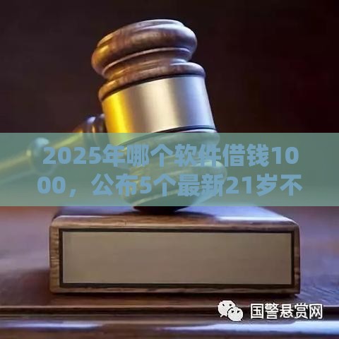 2025年哪个软件借钱1000，公布5个最新21岁不查征信的借款平台百分百通过