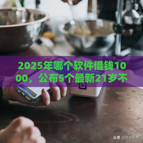 2025年哪个软件借钱1000，公布5个最新21岁不查征信的借款平台百分百通过