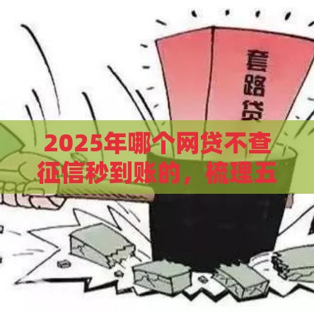 2025年哪个网贷不查征信秒到账的，梳理五个最新贷款网络平台