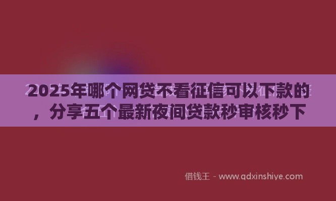 2025年哪个网贷不看征信可以下款的，分享五个最新夜间贷款秒审核秒下款的平台