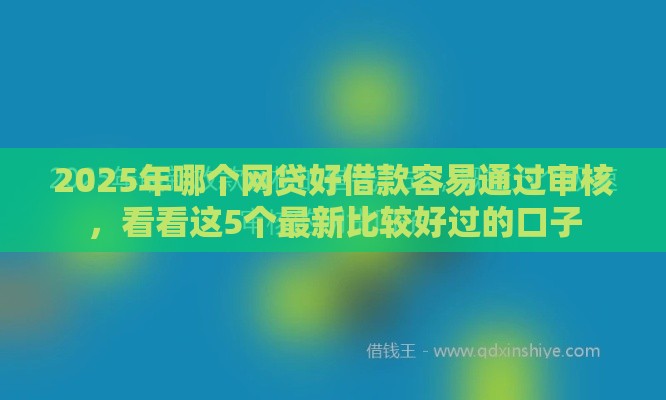 2025年哪个网贷好借款容易通过审核，看看这5个最新比较好过的口子