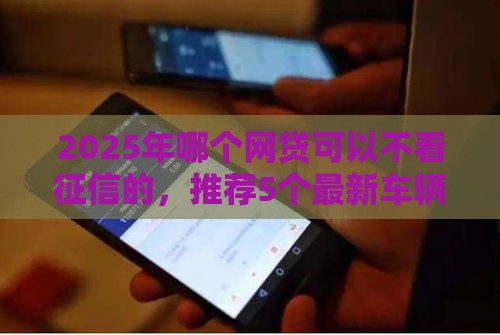 2025年哪个网贷可以不看征信的，推荐5个最新车辆抵押贷款平台