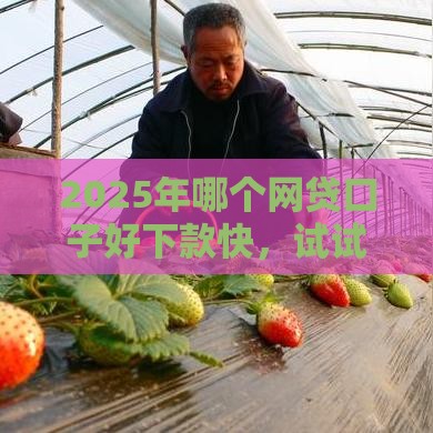 2025年哪个网贷口子好下款快，试试这5个最新贷款平台借钱容易