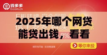 2025年哪个网贷能贷出钱，看看这五个最新资产包口子
