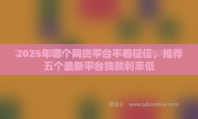 2025年哪个网贷平台不看征信，推荐五个最新平台贷款利率低