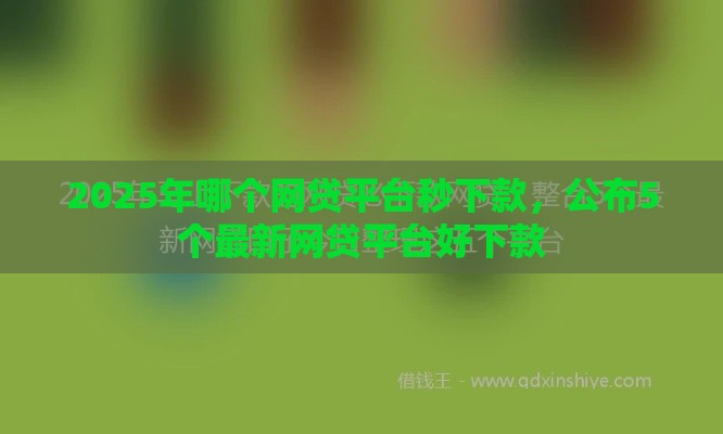 2025年哪个网贷平台秒下款，公布5个最新网贷平台好下款