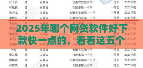 2025年哪个网贷软件好下款快一点的，看看这五个最新全网最全的黒口子平台