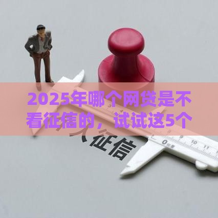 2025年哪个网贷是不看征信的，试试这5个最新最安全的贷款平台