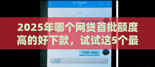 2025年哪个网贷首批额度高的好下款，试试这5个最新贷款平台最靠谱