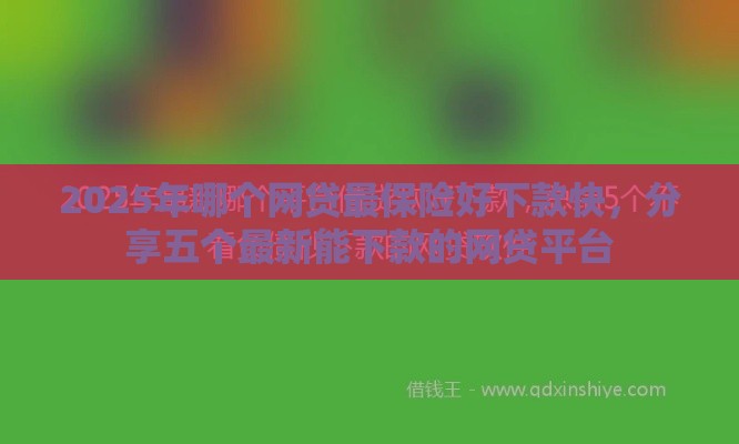 2025年哪个网贷最保险好下款快，分享五个最新能下款的网贷平台