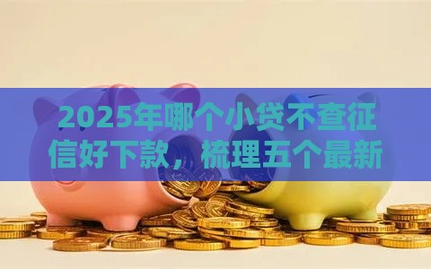 2025年哪个小贷不查征信好下款，梳理五个最新黑户高炮不审核的口子