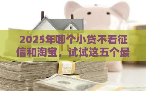 2025年哪个小贷不看征信和淘宝，试试这五个最新平台借钱容易通过不看负债