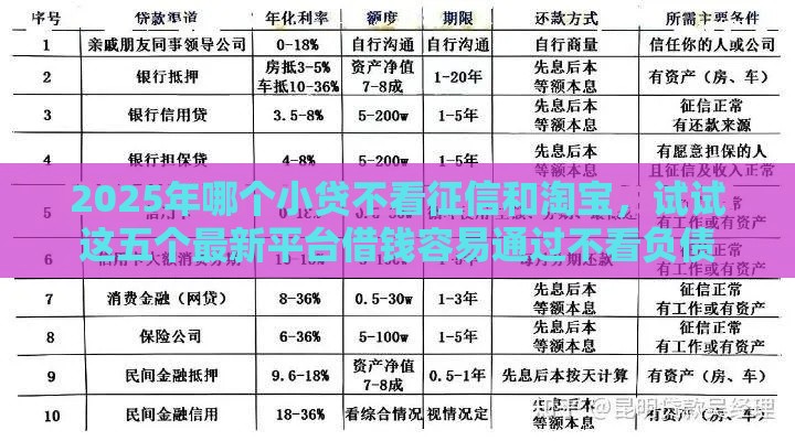 2025年哪个小贷不看征信和淘宝，试试这五个最新平台借钱容易通过不看负债