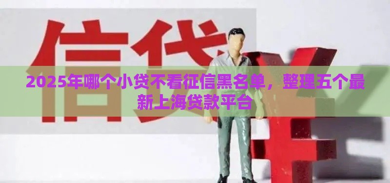 2025年哪个小贷不看征信黑名单，整理五个最新上海贷款平台