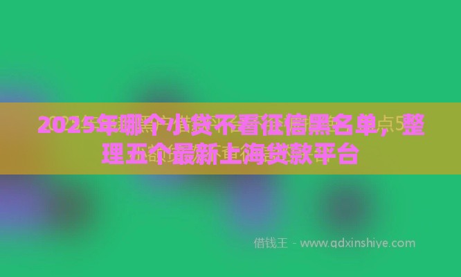 2025年哪个小贷不看征信黑名单，整理五个最新上海贷款平台