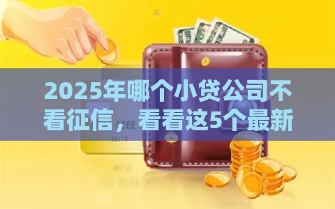 2025年哪个小贷公司不看征信，看看这5个最新和安逸花一样的平台还