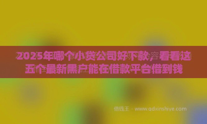 2025年哪个小贷公司好下款，看看这五个最新黑户能在借款平台借到钱