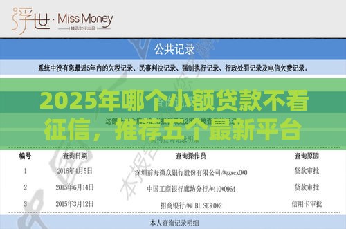 2025年哪个小额贷款不看征信，推荐五个最新平台借钱比较靠谱