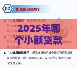 2025年哪个小额贷款不看征信，推荐五个最新平台借钱比较靠谱