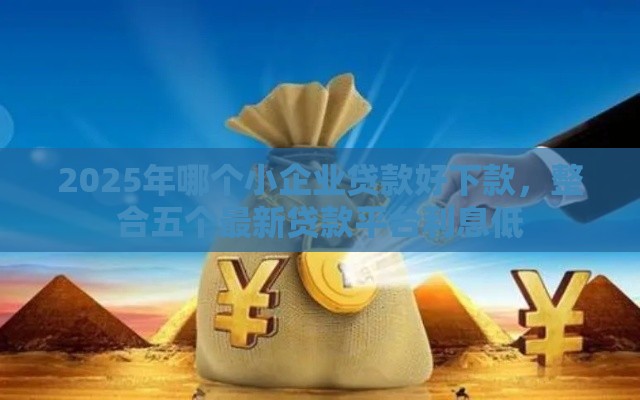 2025年哪个小企业贷款好下款，整合五个最新贷款平台利息低