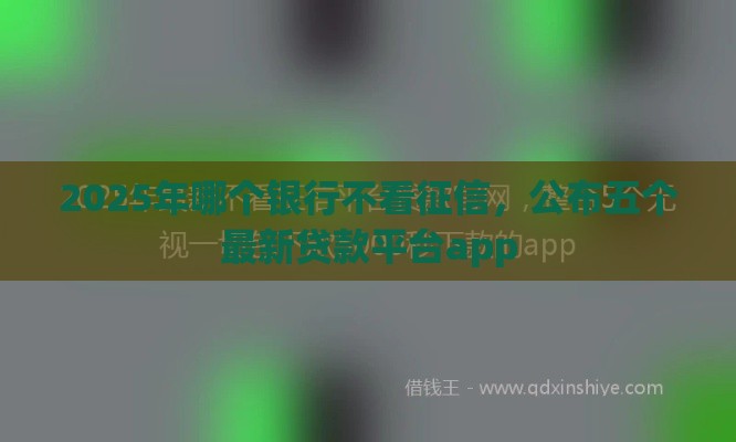 2025年哪个银行不看征信,公布五个最新贷款平台app 2025年哪个银行不看征信,公布五个最新贷款平台app