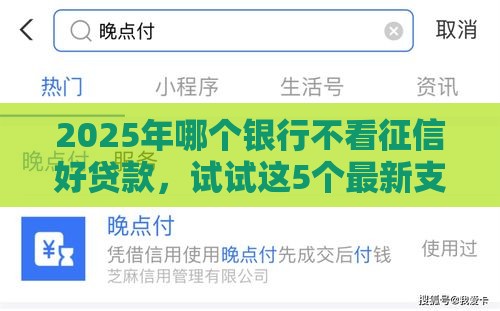 2025年哪个银行不看征信好贷款，试试这5个最新支付宝借钱平台