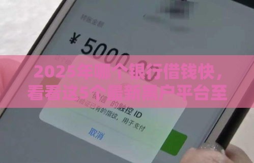 2025年哪个银行借钱快，看看这5个最新黑户平台至少可以借三万那种