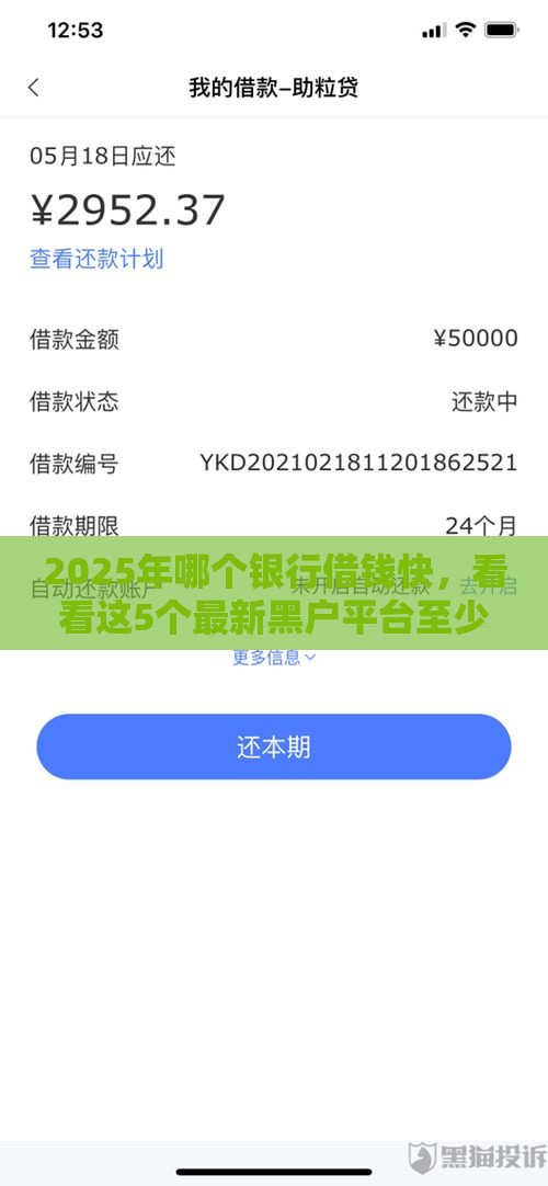2025年哪个银行借钱快，看看这5个最新黑户平台至少可以借三万那种