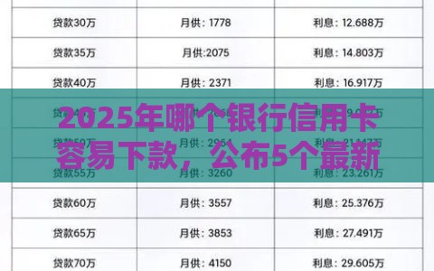 2025年哪个银行信用卡容易下款，公布5个最新平台能贷款