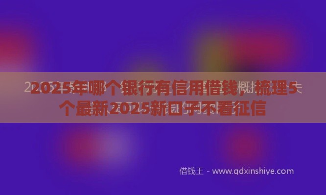 2025年哪个银行有信用借钱，梳理5个最新2025新口子不看征信