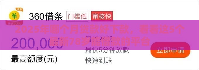 2025年哪个月贷款好下款，看看这5个最新78岁能借款的平台