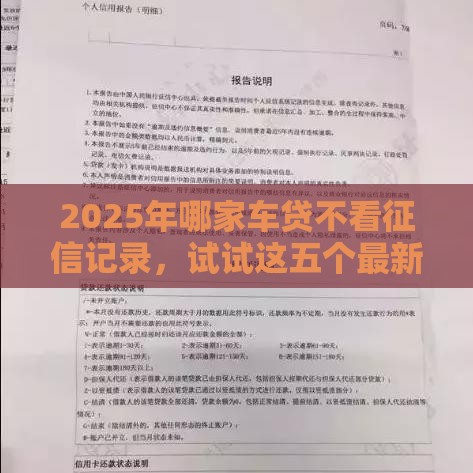 2025年哪家车贷不看征信记录，试试这五个最新一个月口子百分百下款的平台