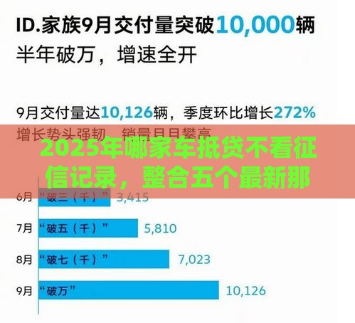 2025年哪家车抵贷不看征信记录，整合五个最新那些平台可以贷款
