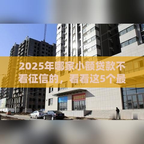 2025年哪家小额贷款不看征信的，看看这5个最新回收类贷款口子